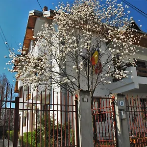 La Noblesse Maison d'hôtes Bucarest